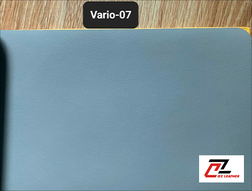 Da Vario
